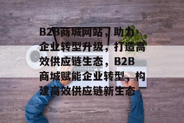 B2B商城网站，助力企业转型升级，打造高效供应链生态，B2B商城赋能企业转型，构建高效供应链新生态