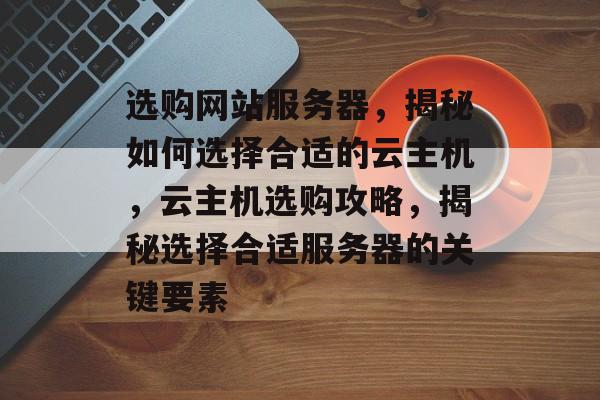 选购网站服务器，揭秘如何选择合适的云主机，云主机选购攻略，揭秘选择合适服务器的关键要素