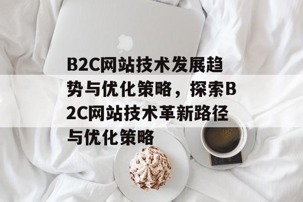 B2C网站技术发展趋势与优化策略，探索B2C网站技术革新路径与优化策略