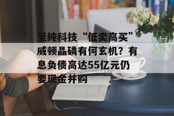 至纯科技“低卖高买”威顿晶磷有何玄机？有息负债高达55亿元仍要现金并购