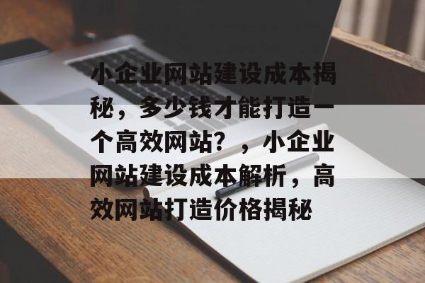 小企业网站建设成本揭秘，多少钱才能打造一个高效网站？，小企业网站建设成本解析，高效网站打造价格揭秘