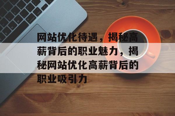 网站优化待遇，揭秘高薪背后的职业魅力，揭秘网站优化高薪背后的职业吸引力