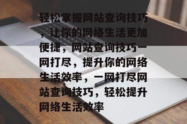轻松掌握网站查询技巧，让你的网络生活更加便捷，网站查询技巧一网打尽，提升你的网络生活效率，一网打尽网站查询技巧，轻松提升网络生活效率