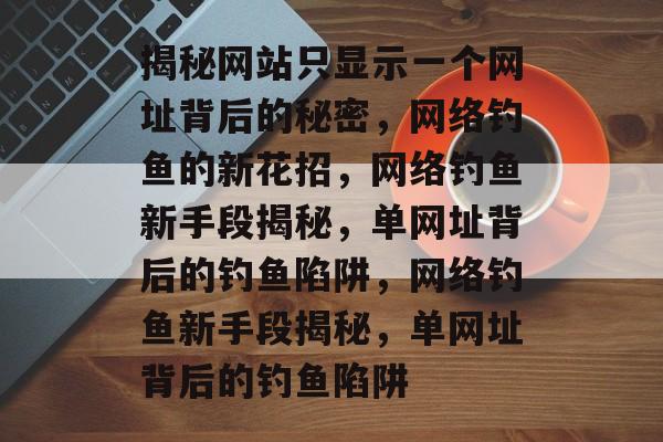 揭秘网站只显示一个网址背后的秘密，网络钓鱼的新花招，网络钓鱼新手段揭秘，单网址背后的钓鱼陷阱，网络钓鱼新手段揭秘，单网址背后的钓鱼陷阱