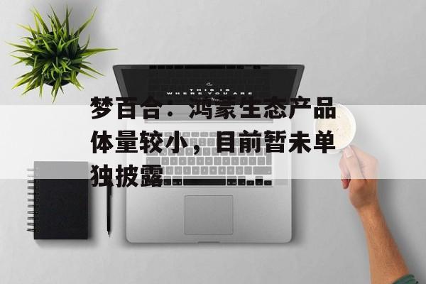 梦百合：鸿蒙生态产品体量较小，目前暂未单独披露