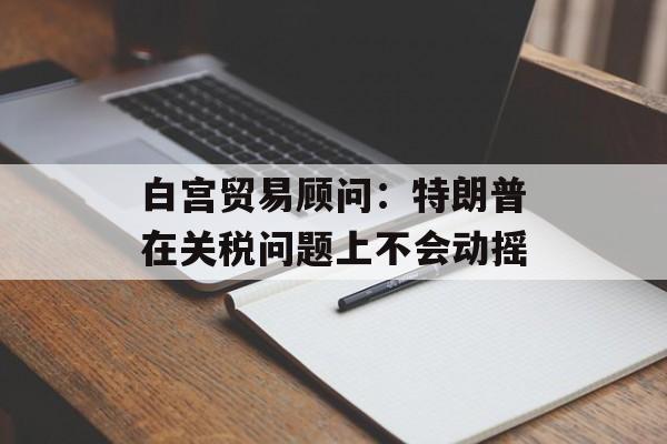 白宫贸易顾问：特朗普在关税问题上不会动摇