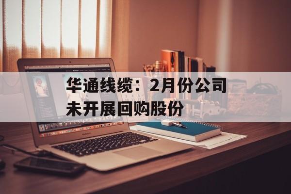 华通线缆：2月份公司未开展回购股份