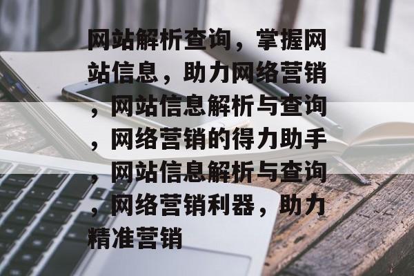 网站解析查询，掌握网站信息，助力网络营销，网站信息解析与查询，网络营销的得力助手，网站信息解析与查询，网络营销利器，助力精准营销