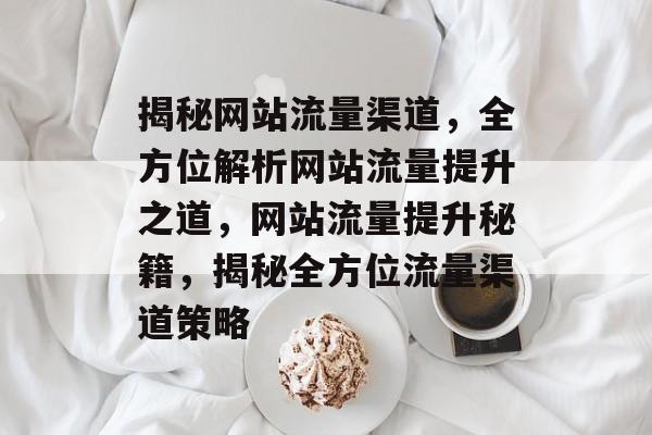 揭秘网站流量渠道，全方位解析网站流量提升之道，网站流量提升秘籍，揭秘全方位流量渠道策略