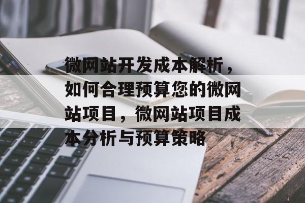 微网站开发成本解析，如何合理预算您的微网站项目，微网站项目成本分析与预算策略