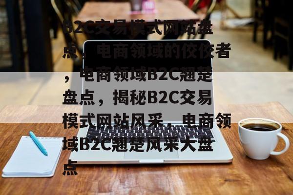 B2C交易模式网站盘点，电商领域的佼佼者，电商领域B2C翘楚盘点，揭秘B2C交易模式网站风采，电商领域B2C翘楚风采大盘点