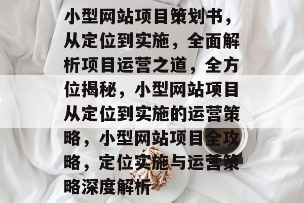 小型网站项目策划书，从定位到实施，全面解析项目运营之道，全方位揭秘，小型网站项目从定位到实施的运营策略，小型网站项目全攻略，定位实施与运营策略深度解析