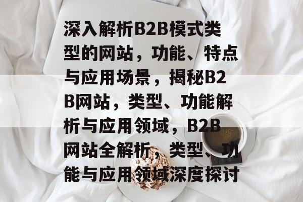 深入解析B2B模式类型的网站，功能、特点与应用场景，揭秘B2B网站，类型、功能解析与应用领域，B2B网站全解析，类型、功能与应用领域深度探讨
