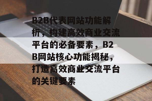 B2B代表网站功能解析，构建高效商业交流平台的必备要素，B2B网站核心功能揭秘，打造高效商业交流平台的关键要素