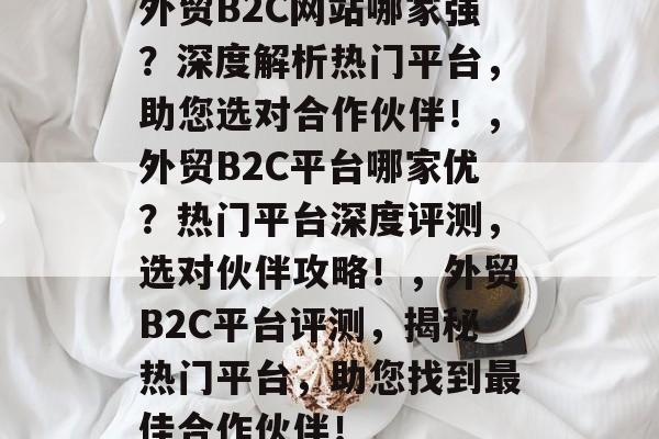 外贸B2C网站哪家强？深度解析热门平台，助您选对合作伙伴！，外贸B2C平台哪家优？热门平台深度评测，选对伙伴攻略！，外贸B2C平台评测，揭秘热门平台，助您找到最佳合作伙伴！