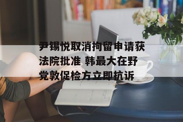 尹锡悦取消拘留申请获法院批准 韩最大在野党敦促检方立即抗诉
