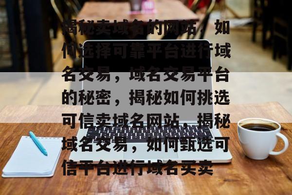 揭秘卖域名的网站，如何选择可靠平台进行域名交易，域名交易平台的秘密，揭秘如何挑选可信卖域名网站，揭秘域名交易，如何甄选可信平台进行域名买卖