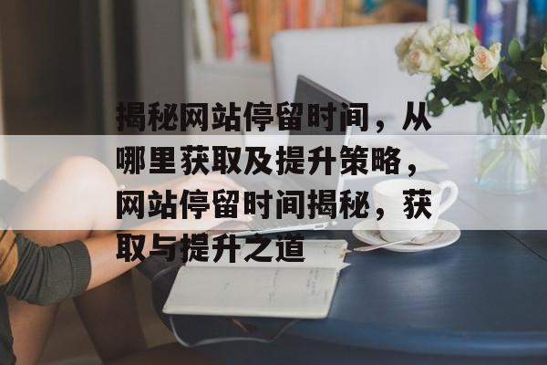 揭秘网站停留时间，从哪里获取及提升策略，网站停留时间揭秘，获取与提升之道