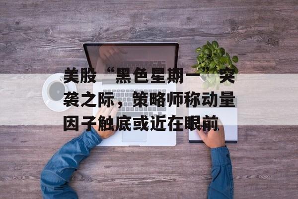 美股“黑色星期一”突袭之际，策略师称动量因子触底或近在眼前