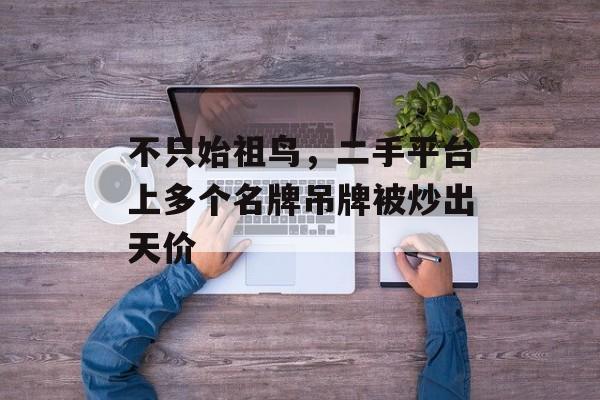 不只始祖鸟，二手平台上多个名牌吊牌被炒出天价