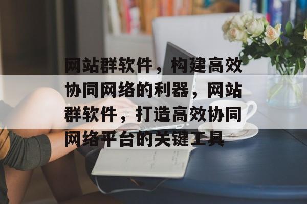 网站群软件，构建高效协同网络的利器，网站群软件，打造高效协同网络平台的关键工具