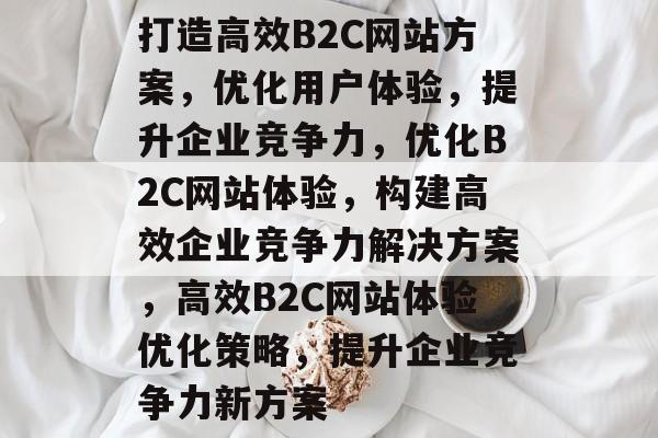 打造高效B2C网站方案，优化用户体验，提升企业竞争力，优化B2C网站体验，构建高效企业竞争力解决方案，高效B2C网站体验优化策略，提升企业竞争力新方案