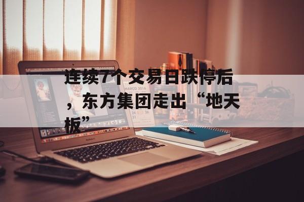 连续7个交易日跌停后，东方集团走出“地天板”