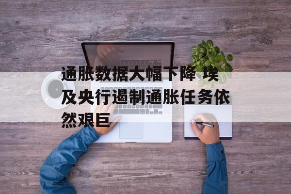 通胀数据大幅下降 埃及央行遏制通胀任务依然艰巨