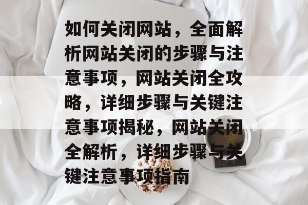 如何关闭网站，全面解析网站关闭的步骤与注意事项，网站关闭全攻略，详细步骤与关键注意事项揭秘，网站关闭全解析，详细步骤与关键注意事项指南