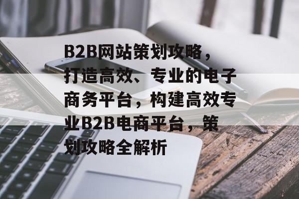 B2B网站策划攻略，打造高效、专业的电子商务平台，构建高效专业B2B电商平台，策划攻略全解析