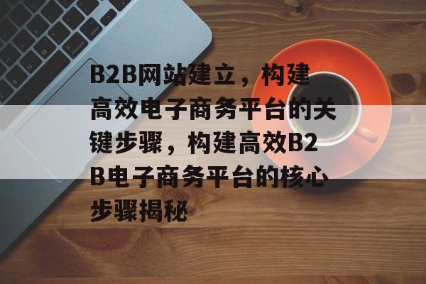 B2B网站建立，构建高效电子商务平台的关键步骤，构建高效B2B电子商务平台的核心步骤揭秘