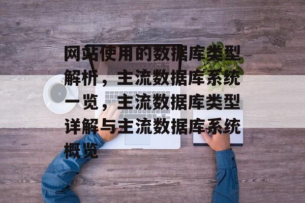 网站使用的数据库类型解析，主流数据库系统一览，主流数据库类型详解与主流数据库系统概览
