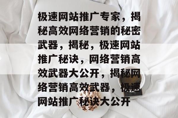 极速网站推广专家，揭秘高效网络营销的秘密武器，揭秘，极速网站推广秘诀，网络营销高效武器大公开，揭秘网络营销高效武器，极速网站推广秘诀大公开