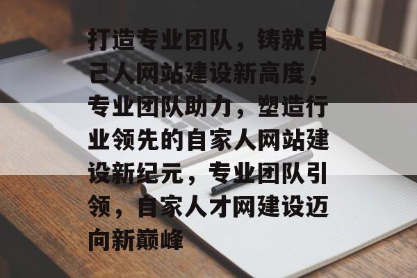打造专业团队，铸就自己人网站建设新高度，专业团队助力，塑造行业领先的自家人网站建设新纪元，专业团队引领，自家人才网建设迈向新巅峰