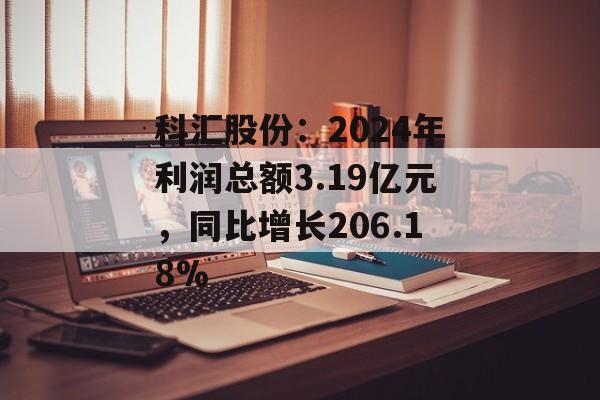 科汇股份：2024年利润总额3.19亿元，同比增长206.18%