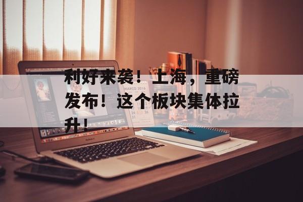 利好来袭！上海，重磅发布！这个板块集体拉升！