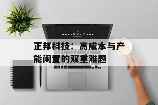 正邦科技：高成本与产能闲置的双重难题