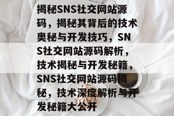 揭秘SNS社交网站源码，揭秘其背后的技术奥秘与开发技巧，SNS社交网站源码解析，技术揭秘与开发秘籍，SNS社交网站源码揭秘，技术深度解析与开发秘籍大公开