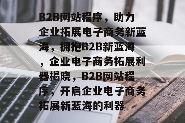 B2B网站程序，助力企业拓展电子商务新蓝海，拥抱B2B新蓝海，企业电子商务拓展利器揭晓，B2B网站程序，开启企业电子商务拓展新蓝海的利器