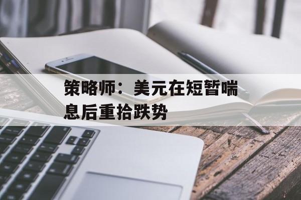 策略师：美元在短暂喘息后重拾跌势