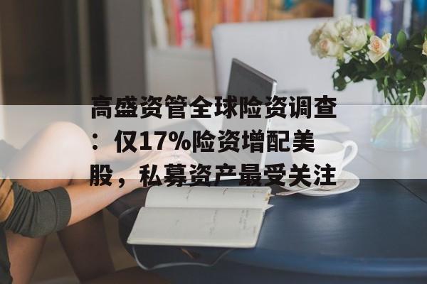 高盛资管全球险资调查：仅17%险资增配美股，私募资产最受关注