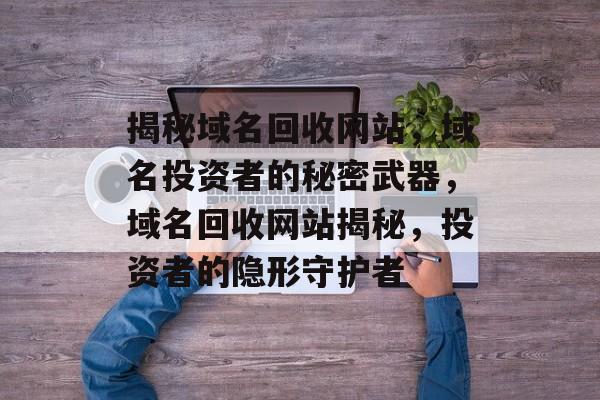 揭秘域名回收网站，域名投资者的秘密武器，域名回收网站揭秘，投资者的隐形守护者