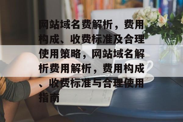 网站域名费解析，费用构成、收费标准及合理使用策略，网站域名解析费用解析，费用构成、收费标准与合理使用指南