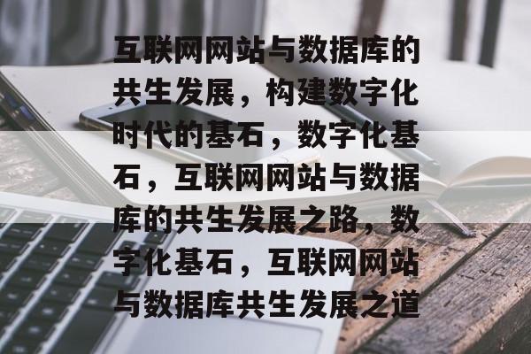 互联网网站与数据库的共生发展，构建数字化时代的基石，数字化基石，互联网网站与数据库的共生发展之路，数字化基石，互联网网站与数据库共生发展之道