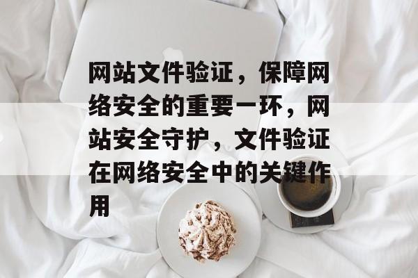 网站文件验证，保障网络安全的重要一环，网站安全守护，文件验证在网络安全中的关键作用