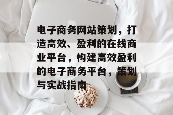 电子商务网站策划，打造高效、盈利的在线商业平台，构建高效盈利的电子商务平台，策划与实战指南