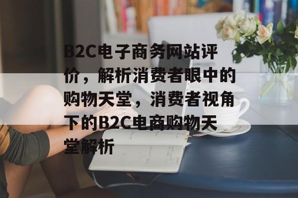 B2C电子商务网站评价，解析消费者眼中的购物天堂，消费者视角下的B2C电商购物天堂解析