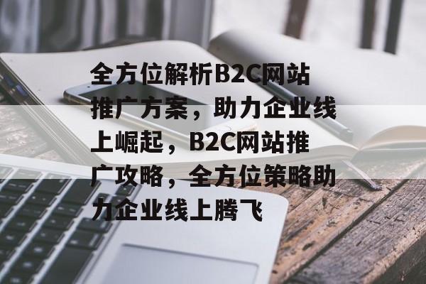 全方位解析B2C网站推广方案，助力企业线上崛起，B2C网站推广攻略，全方位策略助力企业线上腾飞