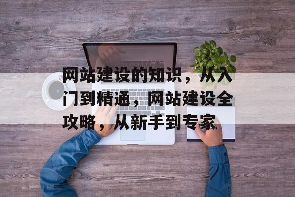 网站建设的知识，从入门到精通，网站建设全攻略，从新手到专家