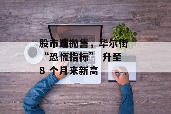 股市遭抛售，华尔街 “恐慌指标” 升至 8 个月来新高